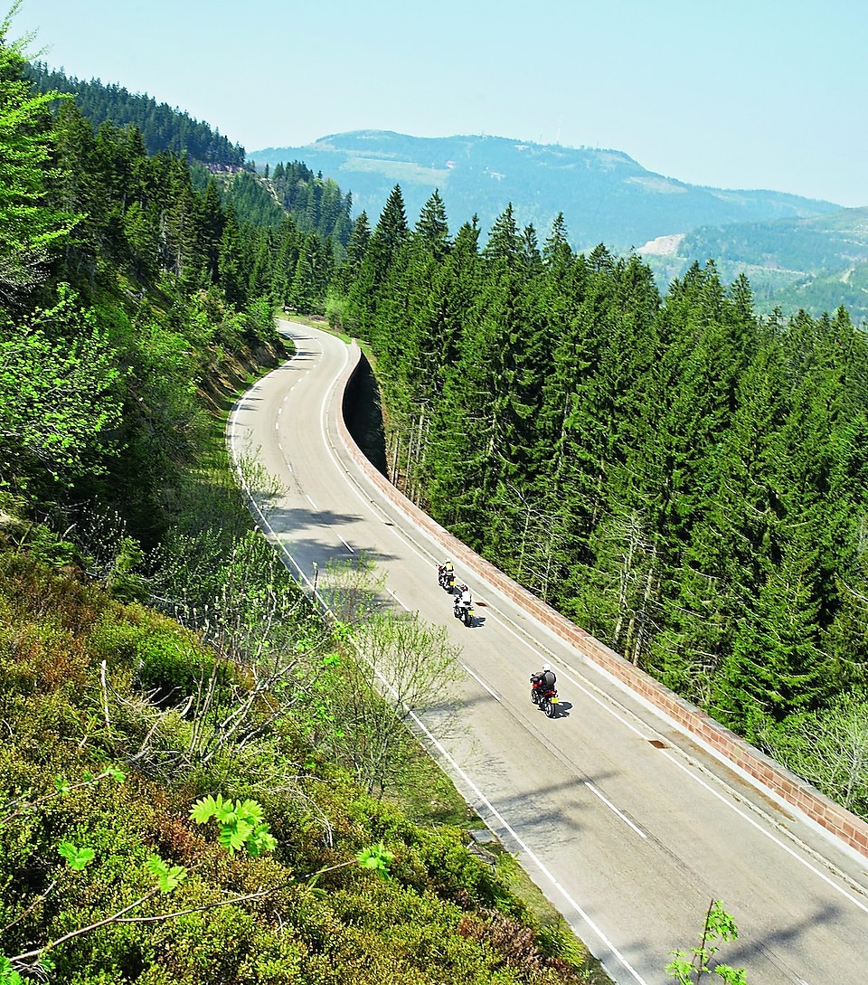 Три мотоцикли їдуть по гірській дорозі серед дерев